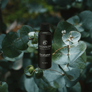 NEO Eucalyptus - Nearly Essential Oil - CogniScent