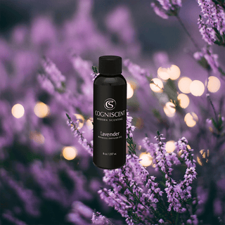 NEO Lavender - Nearly Essential Oil - CogniScent