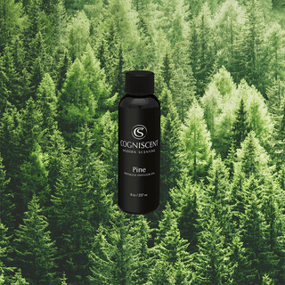 NEO Pine - Nearly Essential Oil - CogniScent
