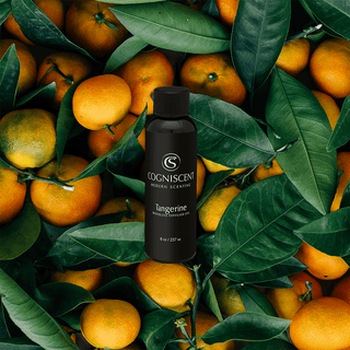 NEO Tangerine - Nearly Essential Oil - CogniScent